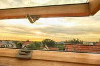 rated Risby roof window companies